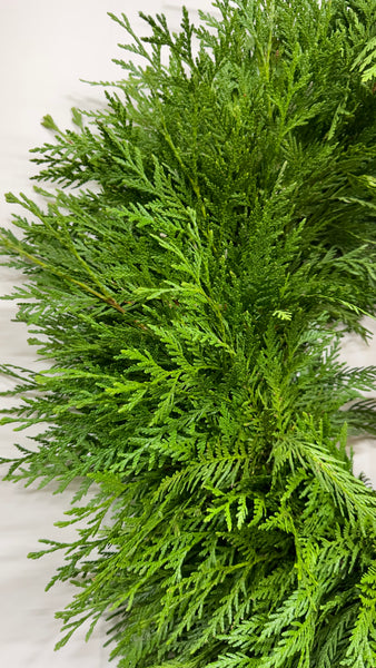 PNW Cedar Christmas Wreath | Fresh Sustainable Cedar Wreath from Oregon – Minimalist Evergreen Decor | Holiday, Corporate & Realtor Gifts