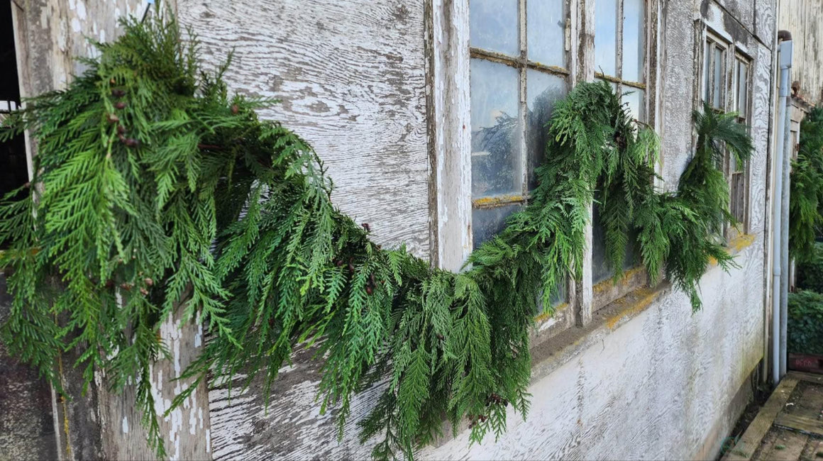Fresh Christmas Garland - Real Western Red Cedar - Sustainable Holiday Decor - Cork & LeafCedar Garland10ft