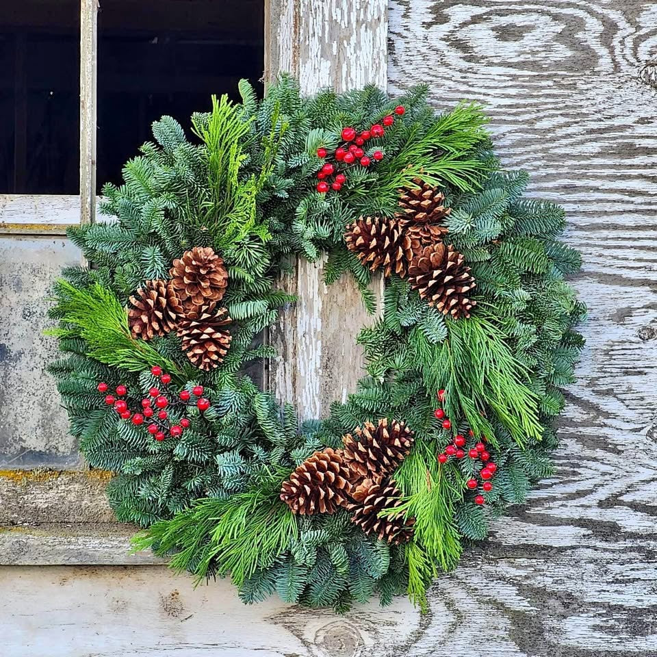Berry Merry Fresh Christmas Wreaths 25 inch - Great for Christmas Wreaths Gifts. - Cork & Leaf1 Wreath