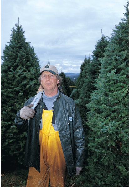Balsam-Fraser Fir Hybrid Christmas Tree Delivered – 7 ft - Cork & LeafChristmas Tree
