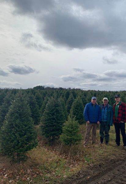 Balsam-Fraser Fir Hybrid Christmas Tree Delivered – 7 ft - Cork & LeafChristmas Tree