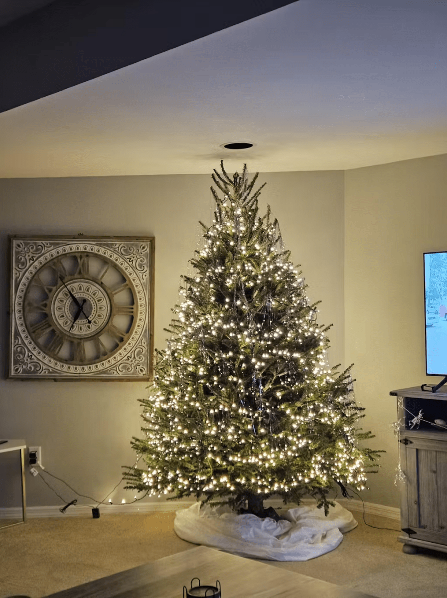 Fresh Fraser Fir Christmas Tree Delivered – 7 ft - Cork & LeafChristmas Tree