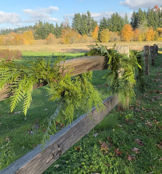 Fresh Christmas Garland - Real Western Red Cedar - Sustainable Holiday Decor - Cork & LeafCedar Garland15 ft