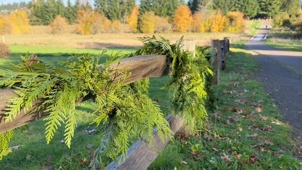 Fresh Christmas Garland - Real Western Red Cedar - Sustainable Holiday Decor - Cork & LeafCedar Garland15 ft