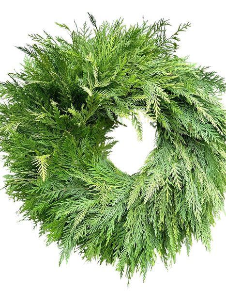 PNW Cedar Wreath - Eco-Friendly Fresh Christmas Wreaths for Delivery - Cork & Leafchristmas wreaths22 inches